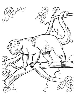 disegno di animali
