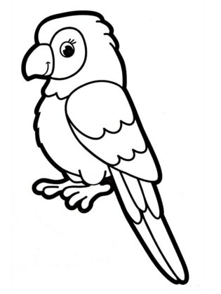 animali disegno