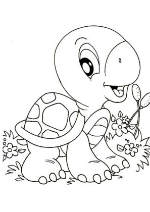 midisegni animali
