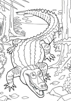 animali per bambini disegni