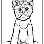 cane disegno