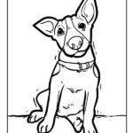 cane disegno