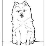 cane da colorare