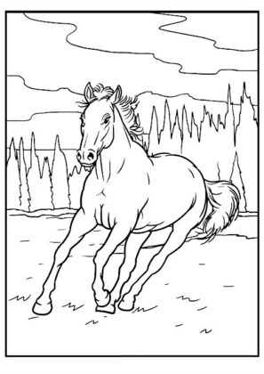 cavallo da colorare