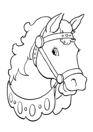 cavallo disegno