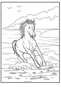 cavallo disegno