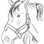 cavallo disegno