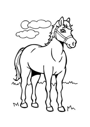 cavallo disegno per bambini