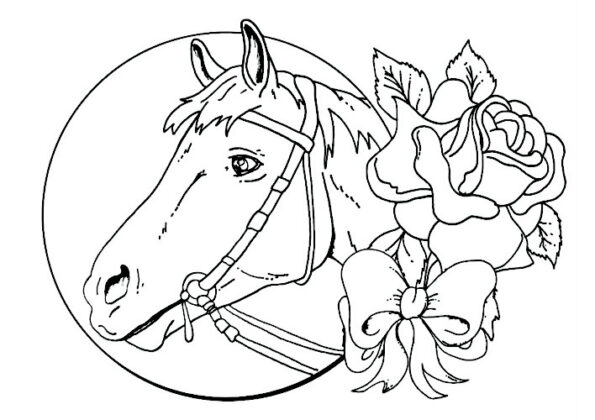 cavallo disegno per bambini