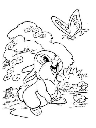 conigli disegni