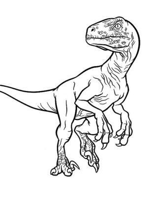 dinosauri da colorare