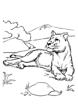 animaletti disegni