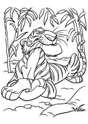 midisegni animali