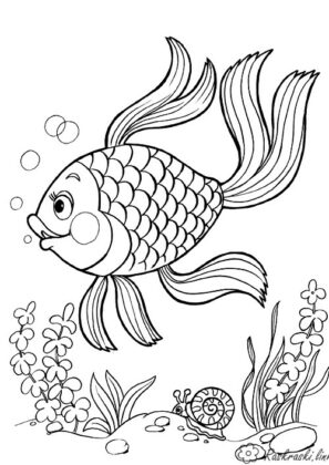 animali da colorare