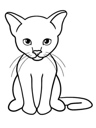 animali da colorare