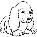 disegni cane