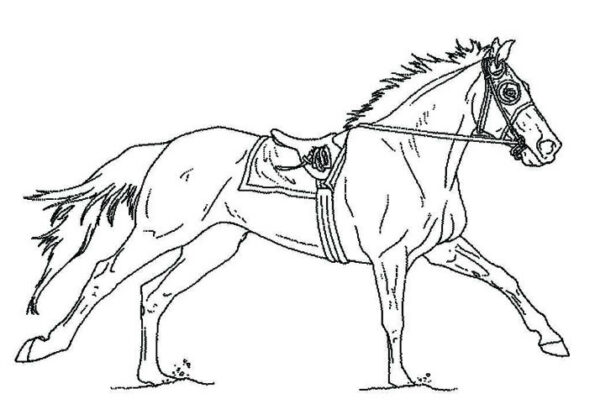 disegni cavalli