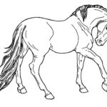 disegni cavalli