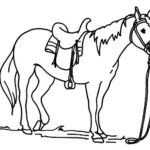 disegni cavalli