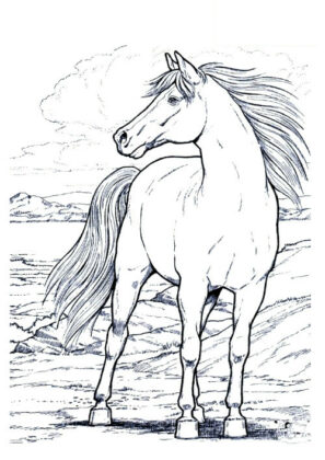 disegni cavallo