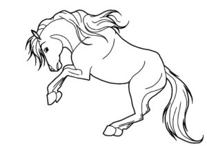 disegni cavallo