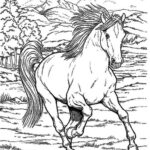 disegni cavallo