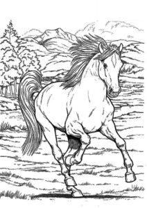 disegni cavallo