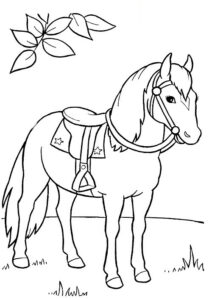 disegni cavallo