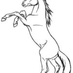 disegni di cavalli