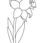 disegni di fiori