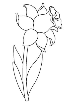 disegni di fiori