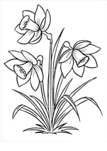 disegni di fiori