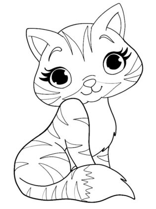 disegni di gatti