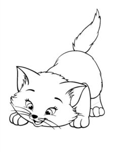 disegni di gatti