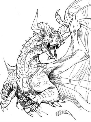 disegni drago
