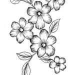 disegni fiori