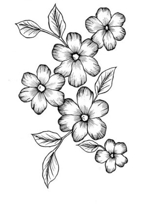 disegni fiori