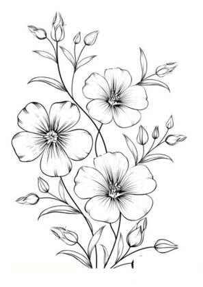 disegni fiori