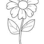 disegni fiori da colorare