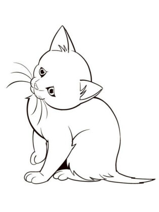 disegno di animali