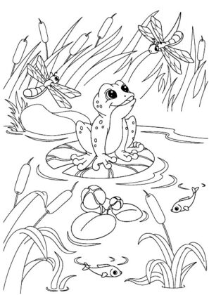 disegni animali