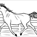 disegno cavallo