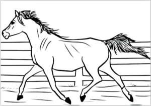 disegno cavallo