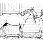 disegno cavallo