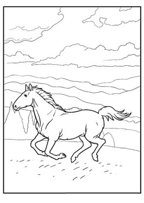 disegno cavallo
