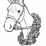 disegno cavallo