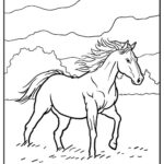 disegno cavallo