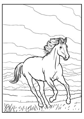 disegno cavallo