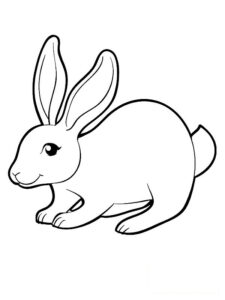disegno coniglio