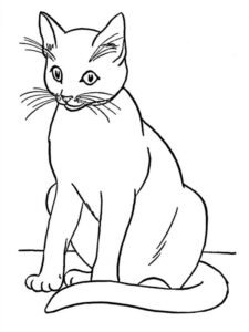 disegno gatto